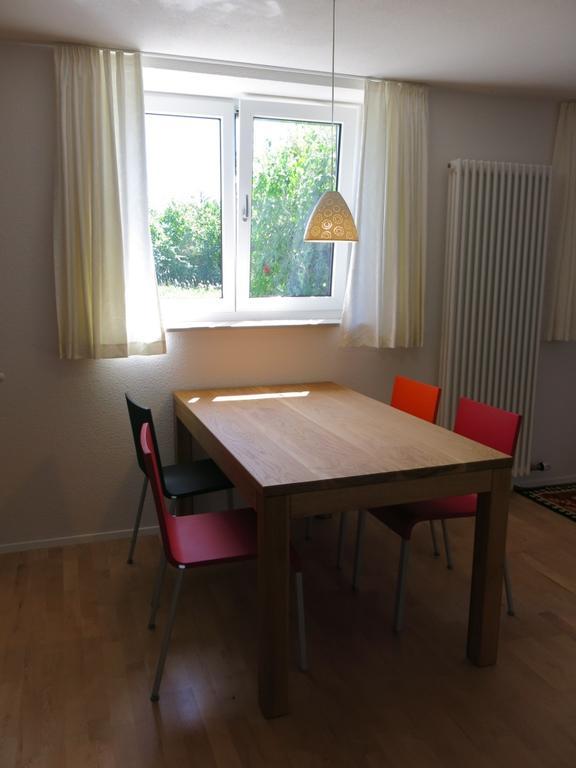 Zentrales 2-Zimmer Apartment Tübingen Habitación foto